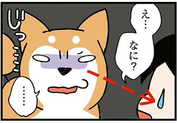 えっ...柴犬が何もないはずの私の背後を凝視。恐ろしくなって振り返ると...？／ドヤ顔柴犬どんぐり