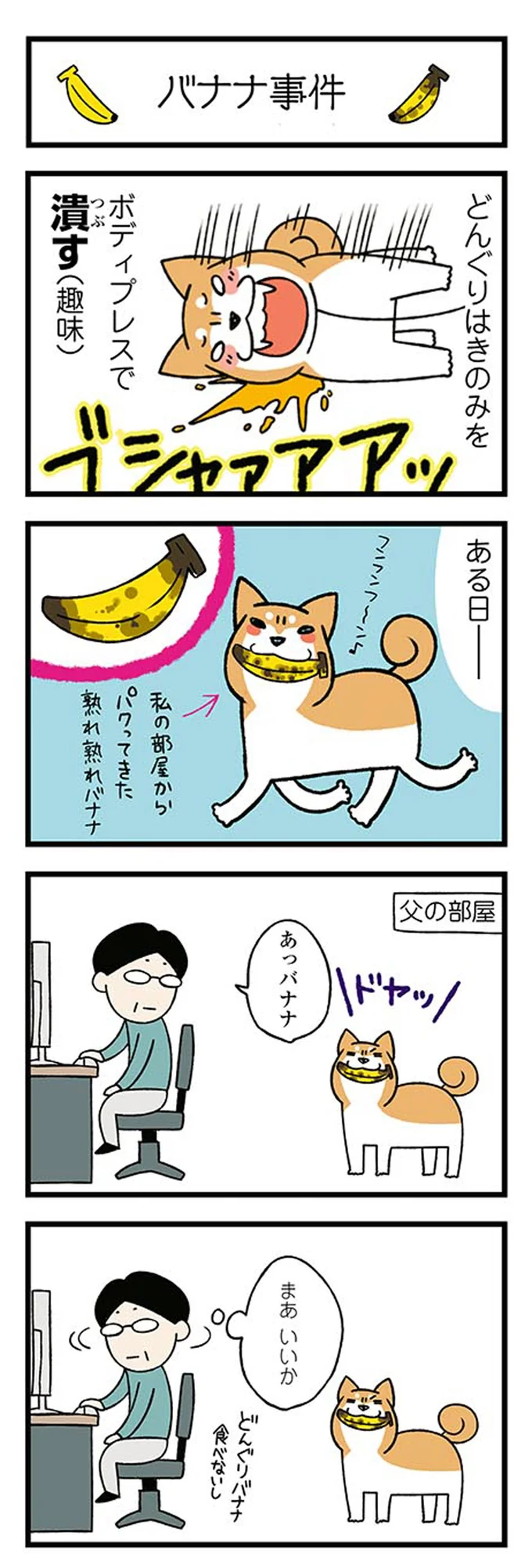 『ドヤ顔柴犬どんぐり』1～3 15476442.webp