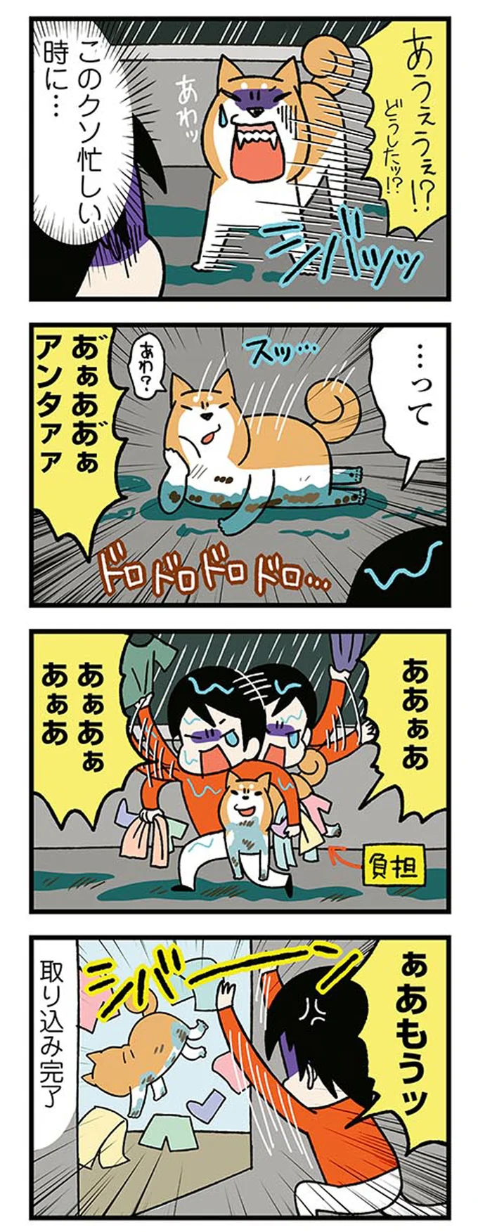 『ドヤ顔柴犬どんぐり』1～3 15476474.webp