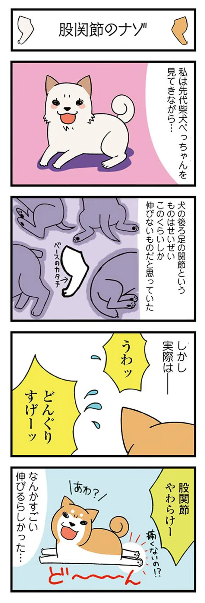 『ドヤ顔柴犬どんぐり』1～3 15476482.webp
