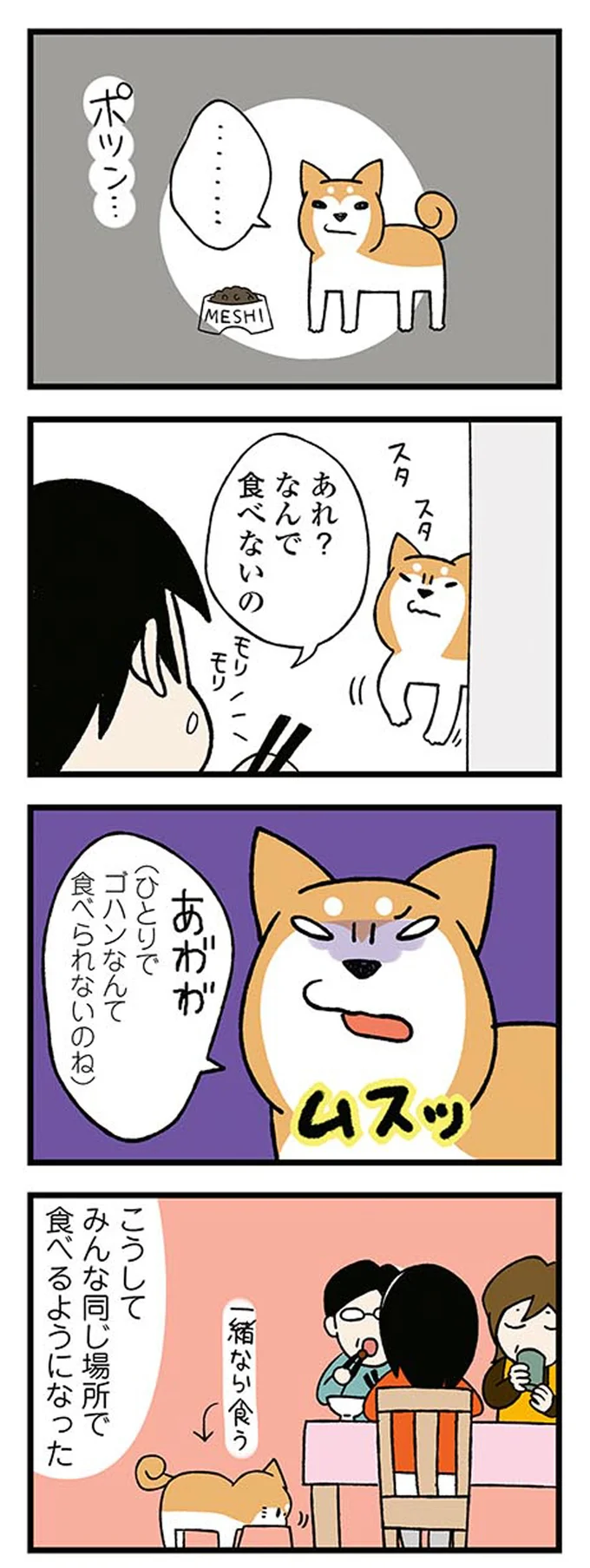 『ドヤ顔柴犬どんぐり』1～3 15476514.webp