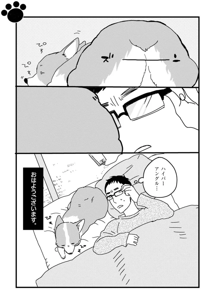 『あしょんでよッ ～うちの犬ログ～ 1～10』 15476653.webp