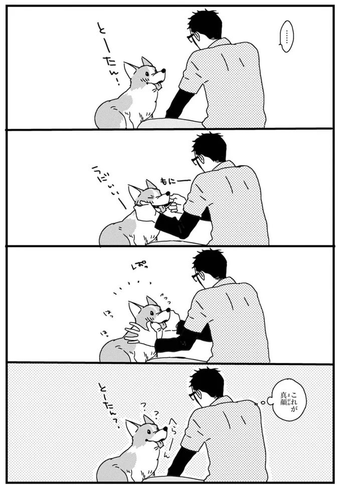 顔に当たるこのモフモフは？ ワンコがいる家にありがちな朝の光景／あしょんでよッ ～うちの犬ログ～1 15476655.webp