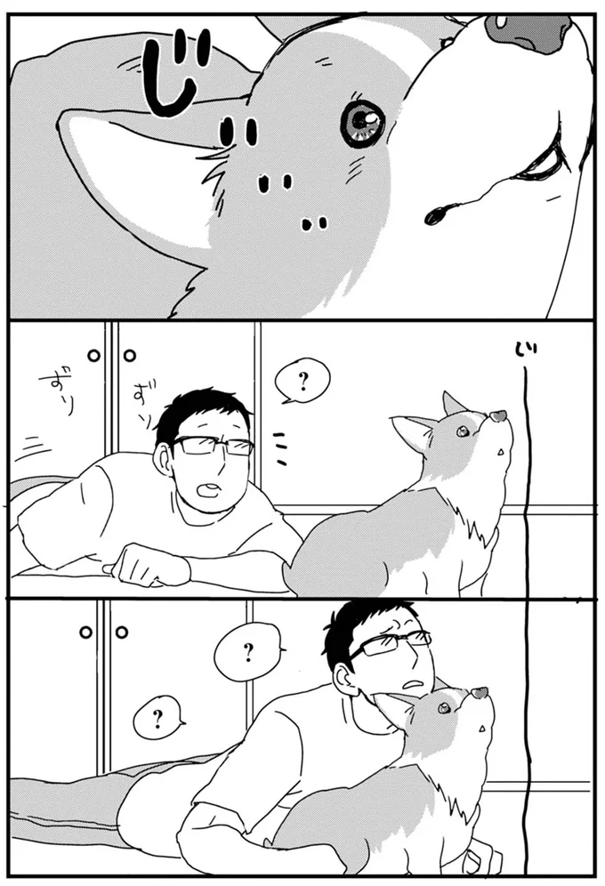 顔に当たるこのモフモフは？ ワンコがいる家にありがちな朝の光景／あしょんでよッ ～うちの犬ログ～1 15476656.webp