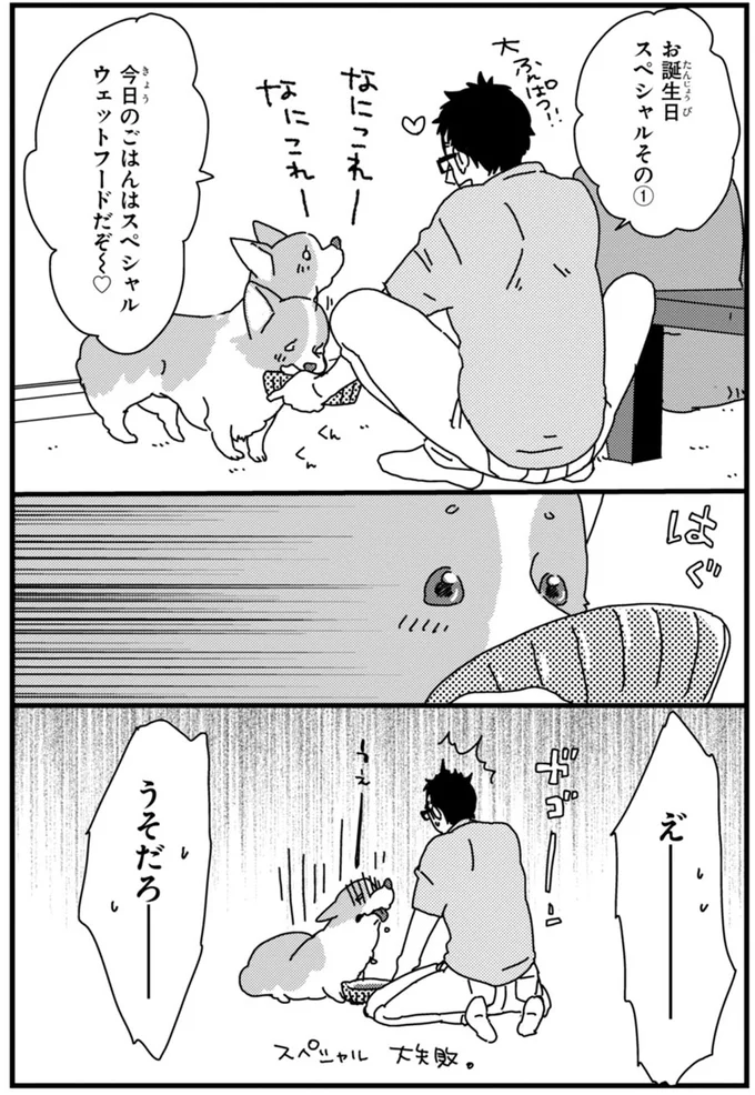 『あしょんでよッ ～うちの犬ログ～ 1～10』 15478462.webp