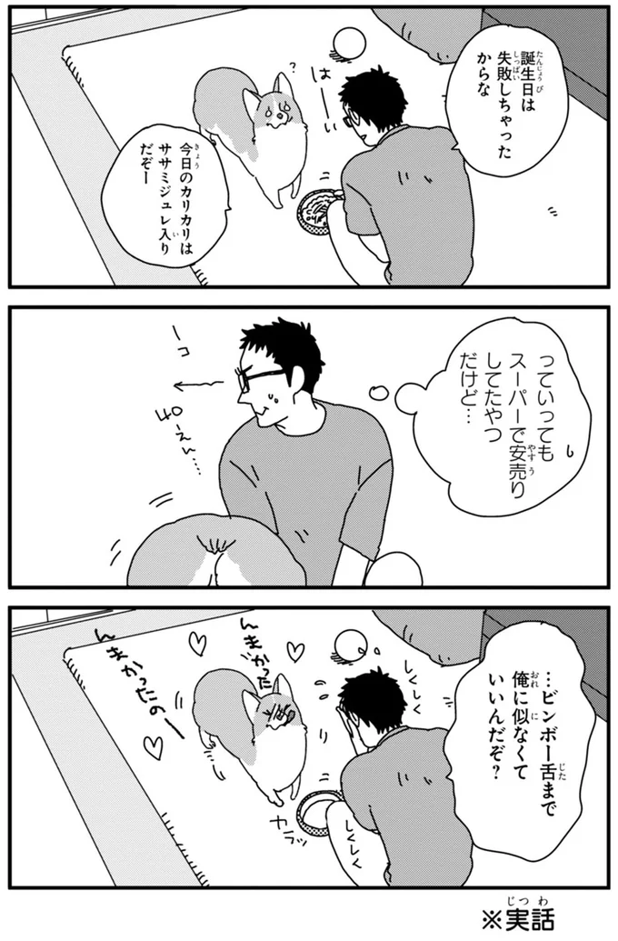 『あしょんでよッ ～うちの犬ログ～ 1～10』 15478465.webp