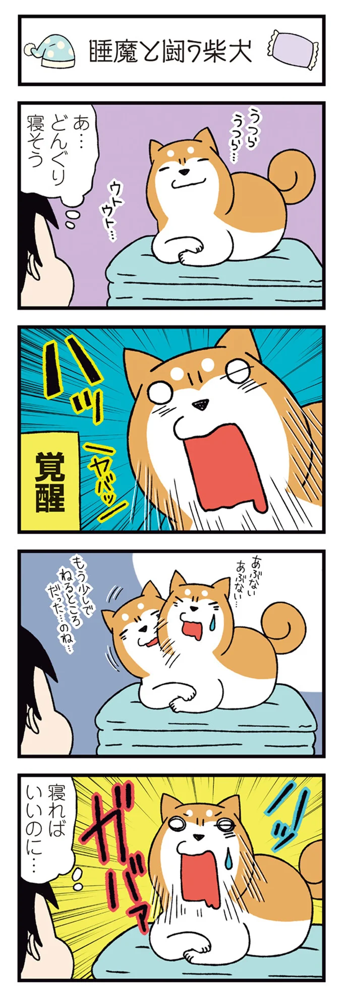 『ドヤ顔柴犬どんぐり』1～3 15481265.webp
