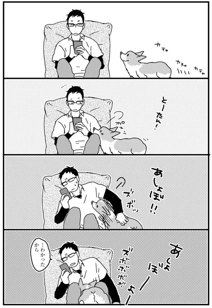 「お手したらくれる？」ワンコのリアクション。いつものと大好物でここまで変わる!?／あしょんでよッ ～うちの犬ログ～1 15481285.webp