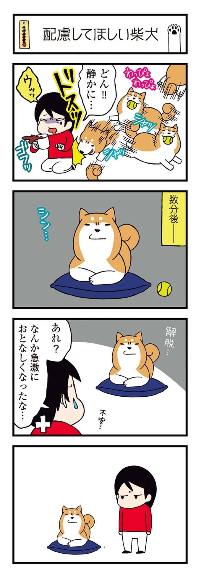 『ドヤ顔柴犬どんぐり』1～3 15481383.webp