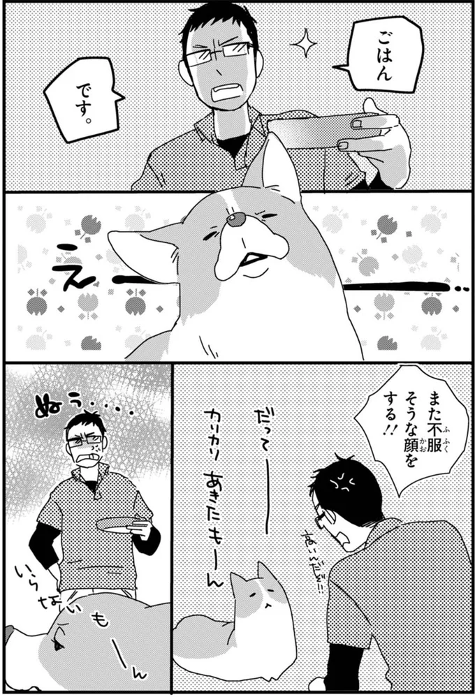 「あきたもーん」カリカリに飽きたワンコ。でも楽しい遊びにすれば.../あしょんでよッ ~うちの犬ログ~1 15481387.webp