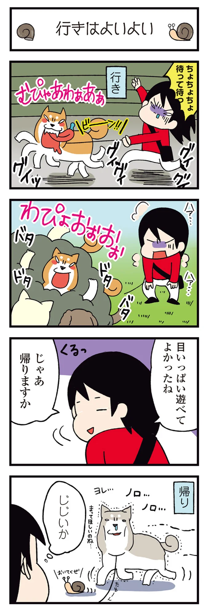 『ドヤ顔柴犬どんぐり』1～3 15481429.webp