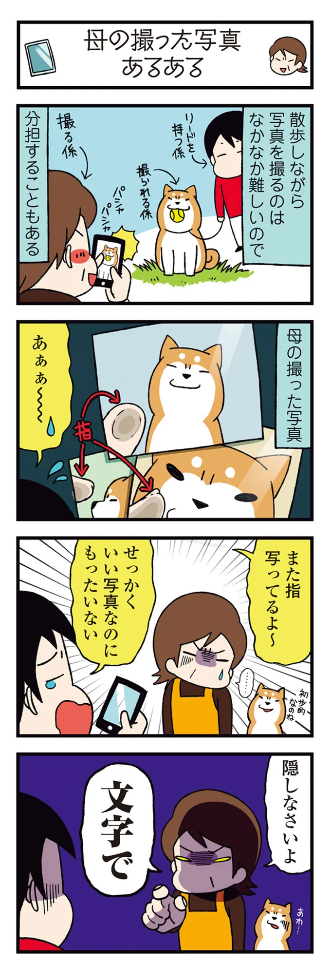 『ドヤ顔柴犬どんぐり』1～3 15481431.webp