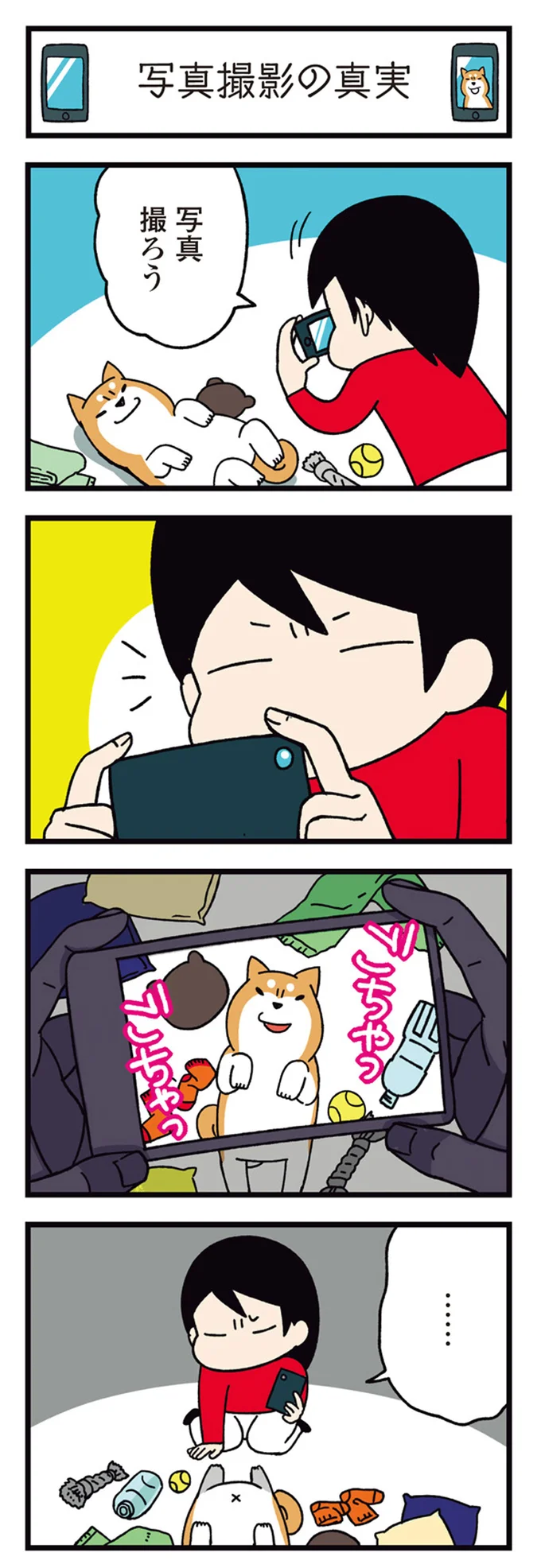 『ドヤ顔柴犬どんぐり』1～3 15481457.webp