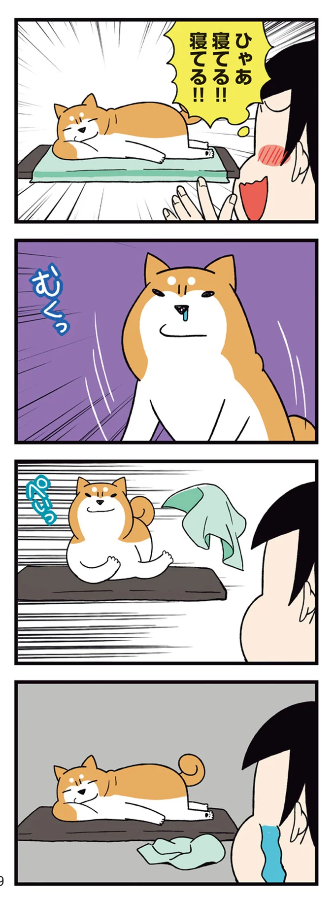 『ドヤ顔柴犬どんぐり』1～3 15481554.webp