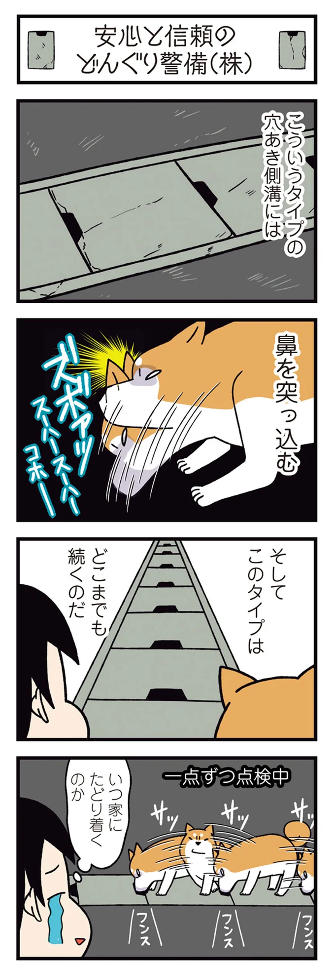 『ドヤ顔柴犬どんぐり』1～3 15481573.webp