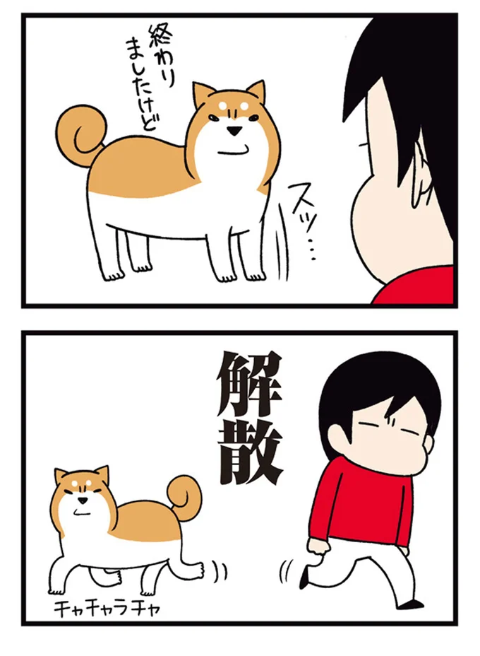 『ドヤ顔柴犬どんぐり』1～3 15481587.webp