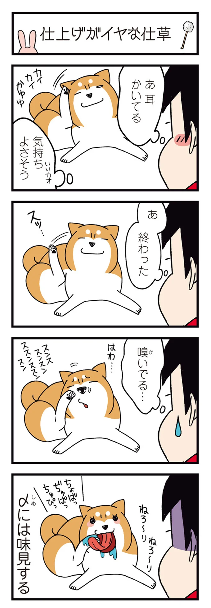『ドヤ顔柴犬どんぐり』1～3 15481589.webp