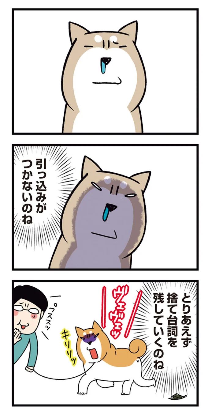 『ドヤ顔柴犬どんぐり』1～3 15481601.webp