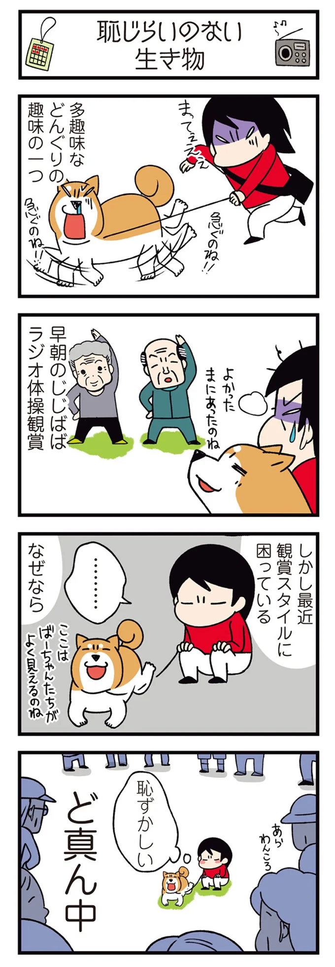 『ドヤ顔柴犬どんぐり』1～3 15481674.webp