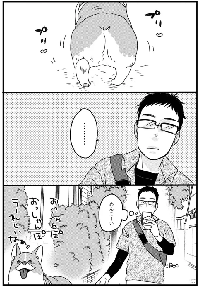 散歩が待ちきれないワンコの「過激なアピール」。チラッと飼い主を見て...やめて！／あしょんでよッ ～うちの犬ログ～1 15487221.webp