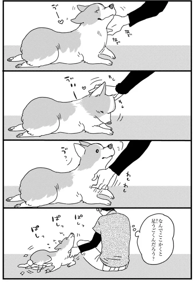 「ワンコの体の不思議」。ここが足と連動してる...？／あしょんでよッ ～うちの犬ログ～1 15487229.webp