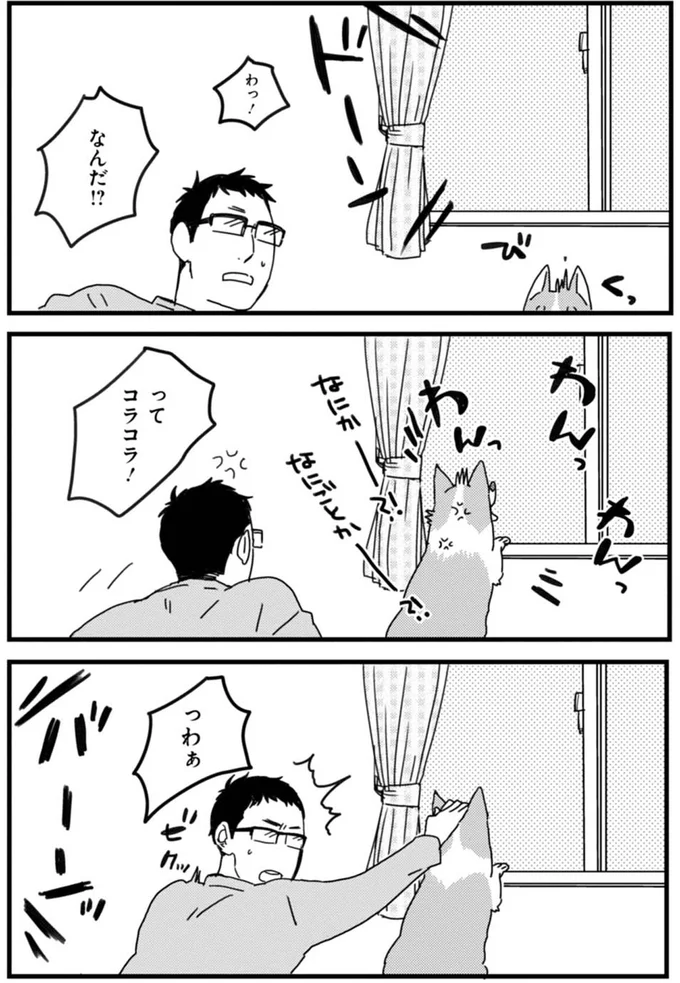 「ワンコの体の不思議」。ここが足と連動してる...？／あしょんでよッ ～うちの犬ログ～1 15487231.webp