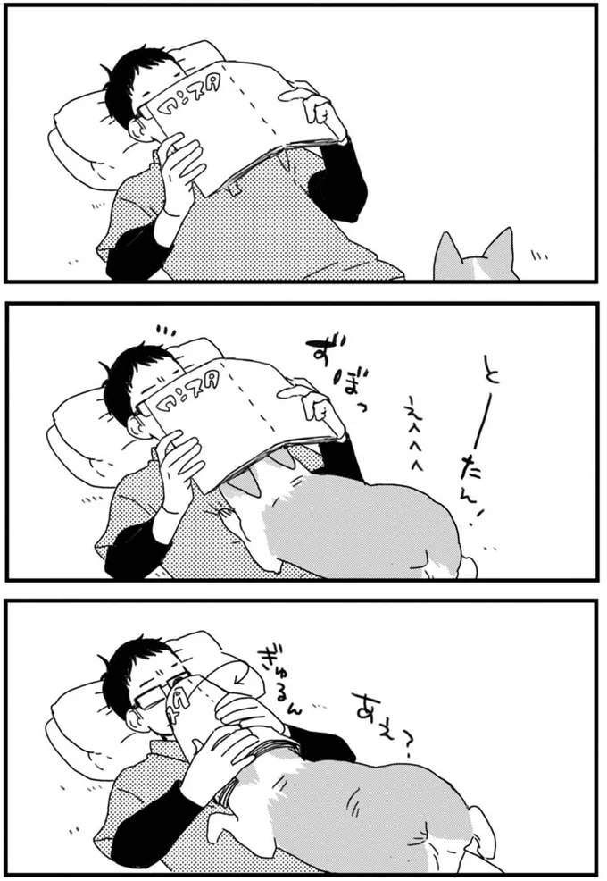 ワンコの「かまってアピール」がかわいい...！ 飼い主もぎゅっと...あえ？／あしょんでよッ ～うちの犬ログ～1 15491364.webp