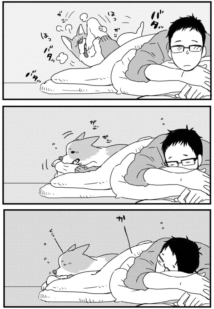 ワンコの「かまってアピール」がかわいい...！ 飼い主もぎゅっと...あえ？／あしょんでよッ ～うちの犬ログ～1 15491366.webp