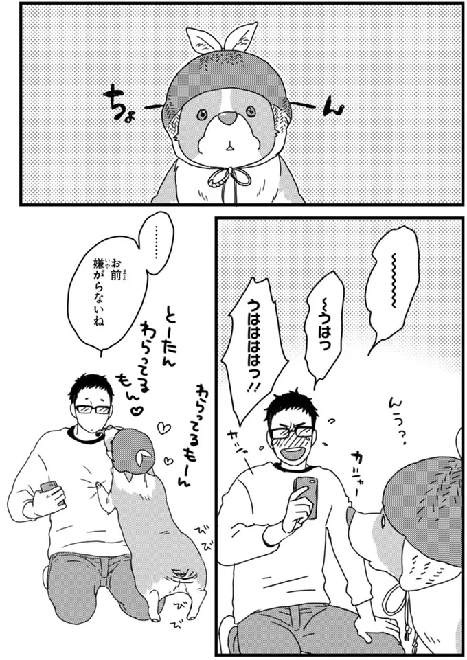 こんな顔もかわいい！うちのワンコが被り物を嫌がらない理由／あしょんでよッ ～うちの犬ログ～1 15491518.webp