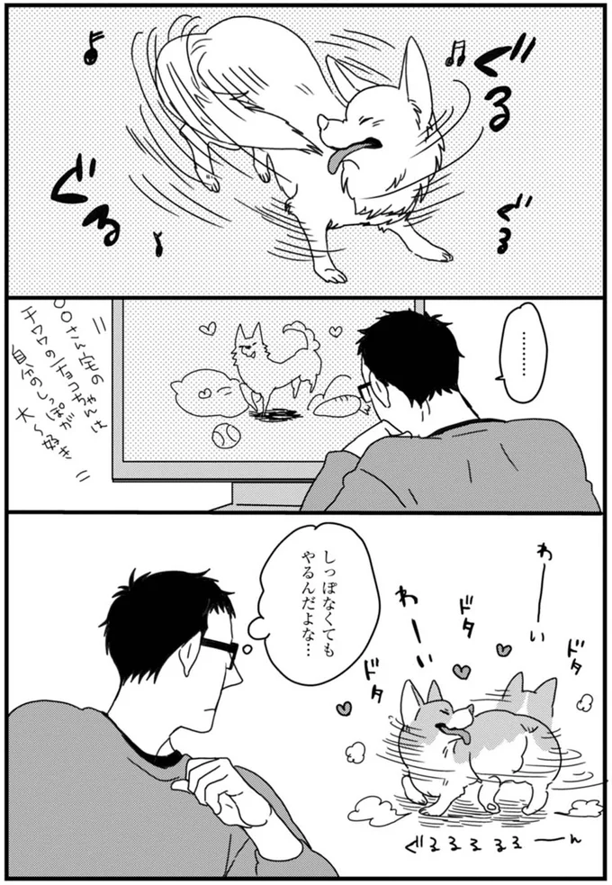 こんな顔もかわいい！うちのワンコが被り物を嫌がらない理由／あしょんでよッ ～うちの犬ログ～1 15491519.webp