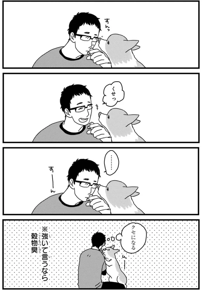 こんな顔もかわいい！うちのワンコが被り物を嫌がらない理由／あしょんでよッ ～うちの犬ログ～1 15491520.webp