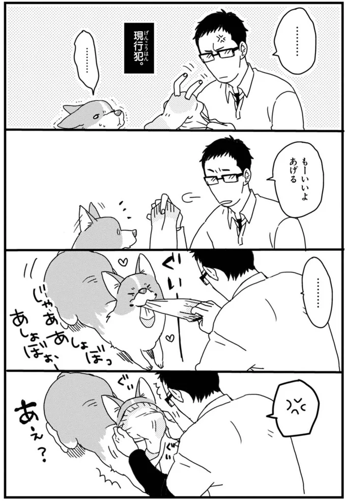 『あしょんでよッ ～うちの犬ログ～ 1～10』 15491570.webp