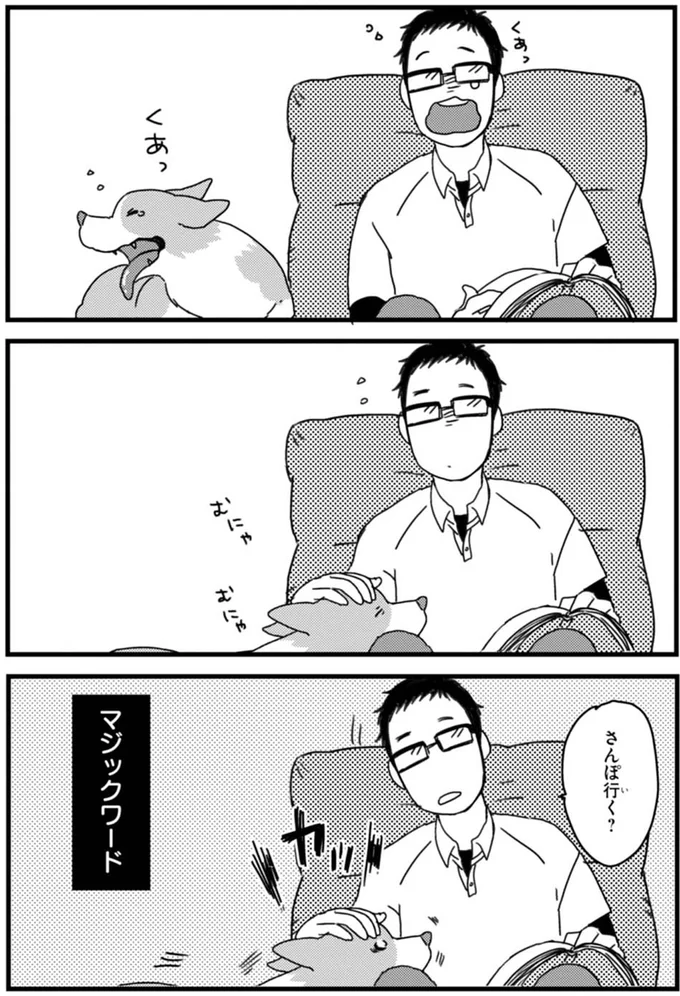 『あしょんでよッ ～うちの犬ログ～ 1～10』 15491571.webp