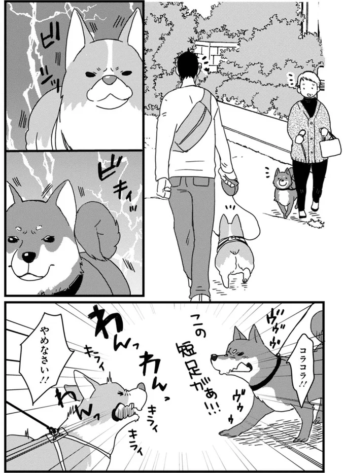 『あしょんでよッ ～うちの犬ログ～ 1～10』 15491799.webp