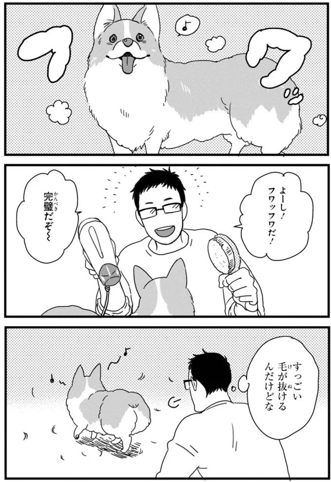 『あしょんでよッ ～うちの犬ログ～ 1～10』 15491804.webp