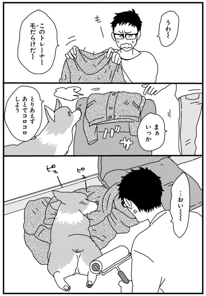 『あしょんでよッ ～うちの犬ログ～ 1～10』 15491887.webp