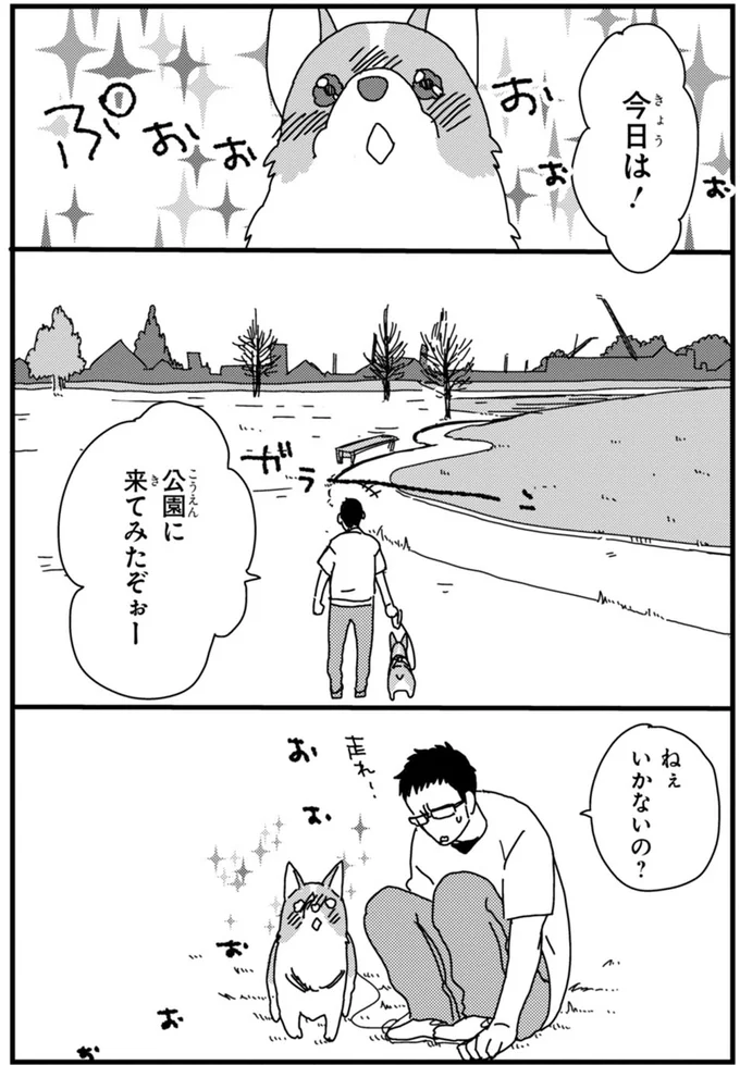 『あしょんでよッ ～うちの犬ログ～ 1～10』 15491888.webp