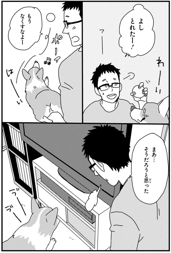 『あしょんでよッ ～うちの犬ログ～ 1～10』 15495010.webp