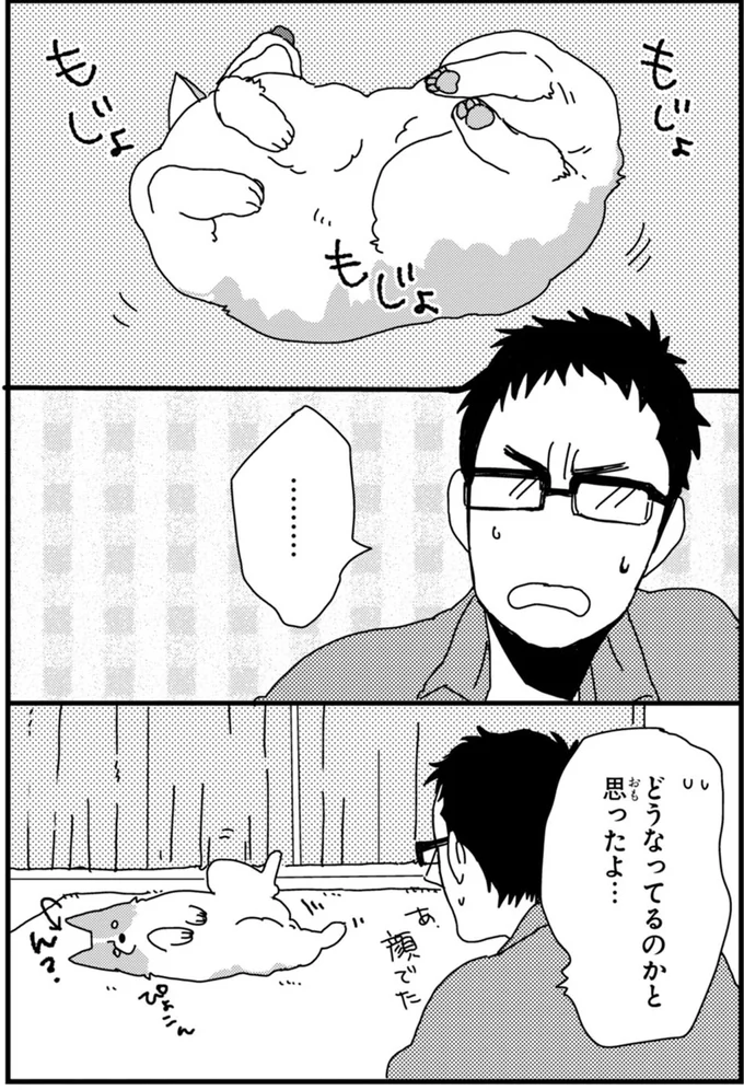 『あしょんでよッ ～うちの犬ログ～ 1～10』 15495011.webp