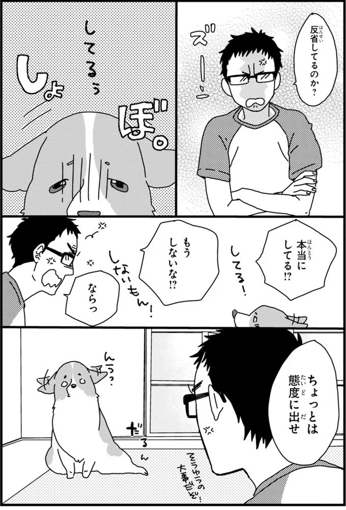 『あしょんでよッ ～うちの犬ログ～ 1～10』 15495074.webp