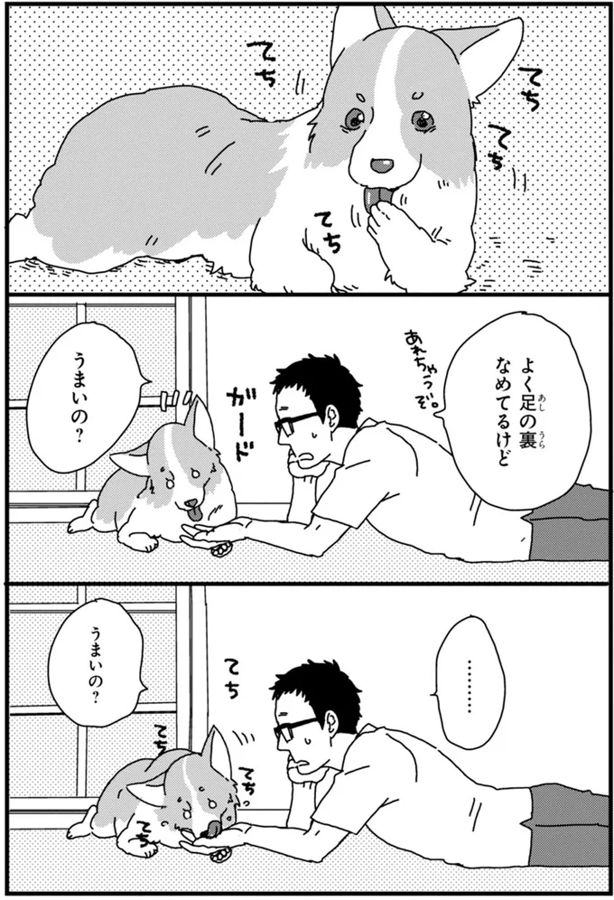 『あしょんでよッ ～うちの犬ログ～ 1～10』 15495075.webp