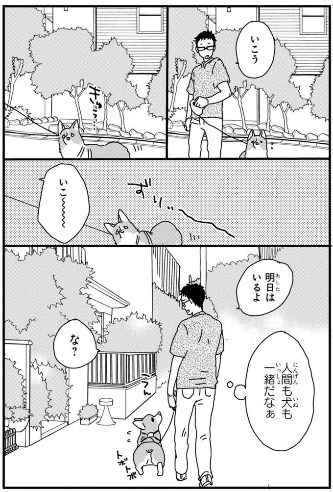 『あしょんでよッ ～うちの犬ログ～ 1～10』 15495077.webp