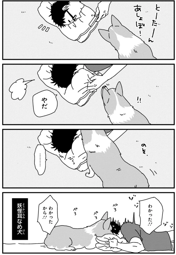 『あしょんでよッ ～うちの犬ログ～ 1～10』 15495313.webp