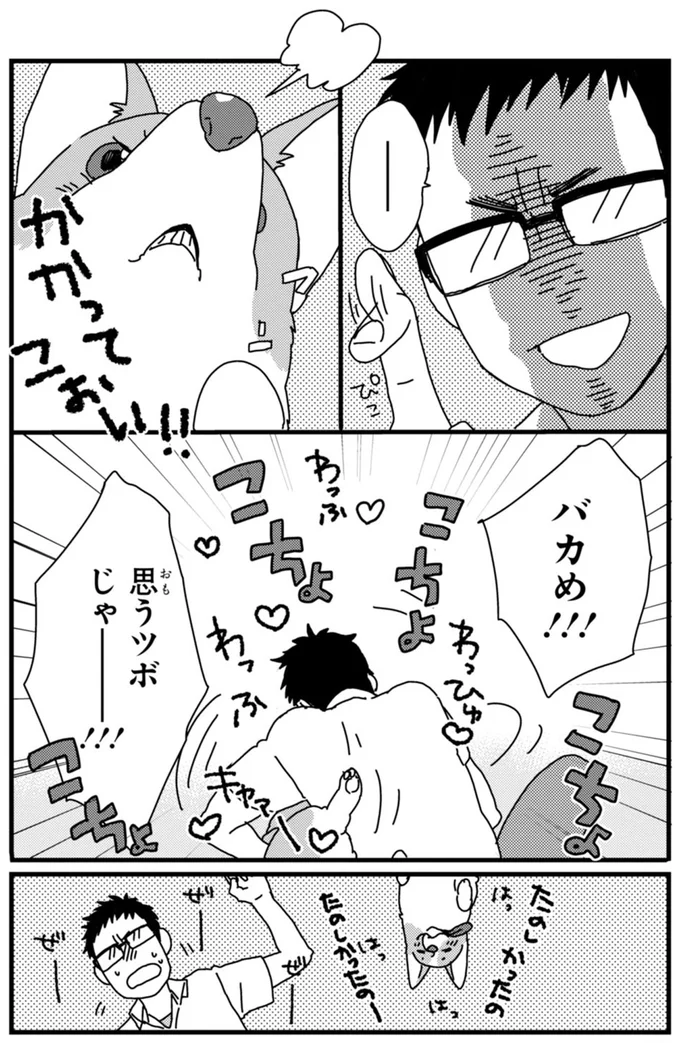 『あしょんでよッ ～うちの犬ログ～ 1～10』 15495315.webp