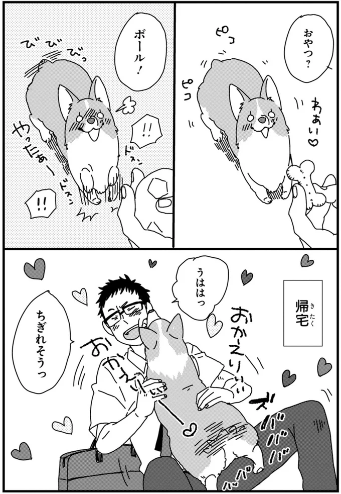 『あしょんでよッ ～うちの犬ログ～ 1～10』 15495358.webp