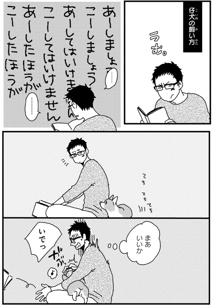 『あしょんでよッ ～うちの犬ログ～ 1～10』 15495528.webp