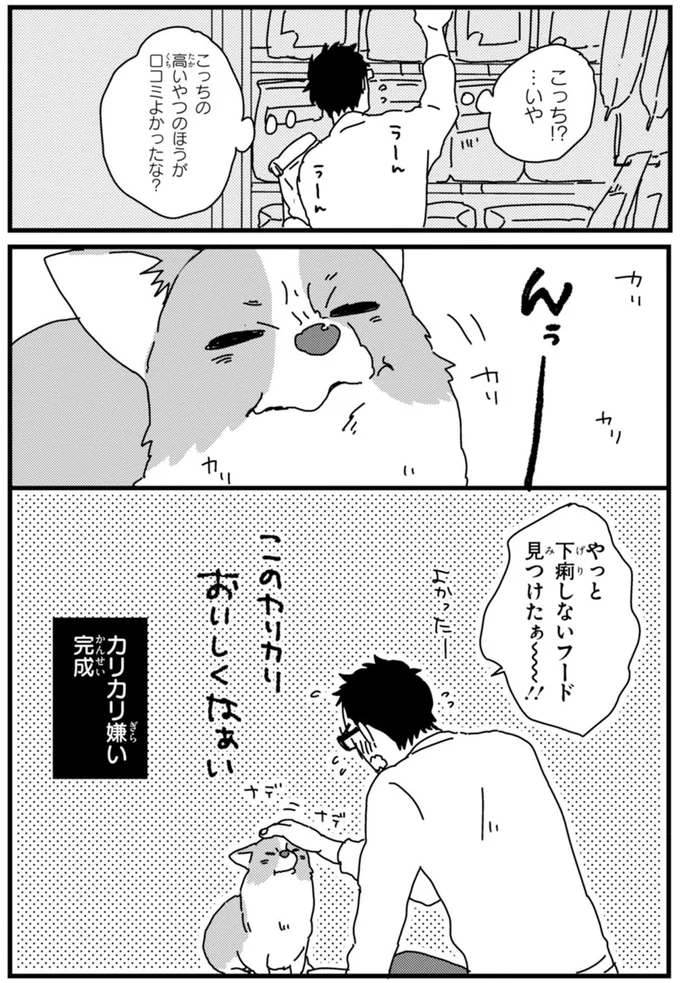 『あしょんでよッ ～うちの犬ログ～ 1～10』 15496493.webp