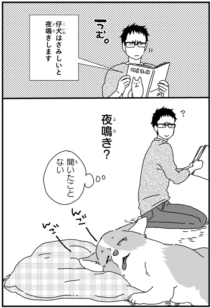 『あしょんでよッ ～うちの犬ログ～ 1～10』 15496495.webp