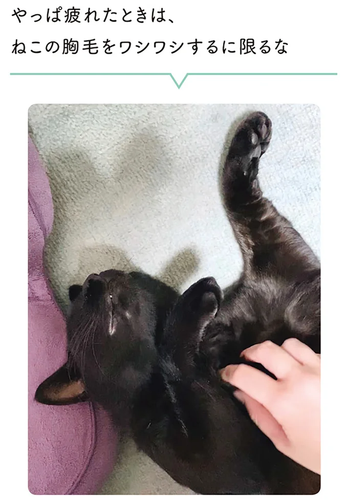 『黒猫ろんと暮らしたら』1～3 15543957.webp