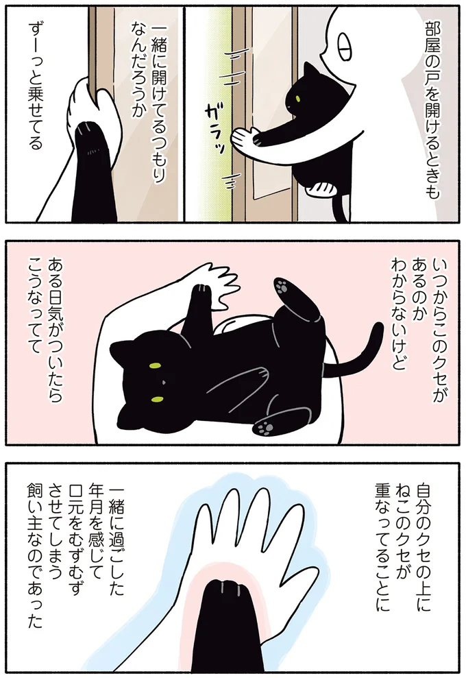 『黒猫ろんと暮らしたら』1～3 15543969.webp